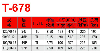 福建省邵武市正興武夷輪胎有限公司